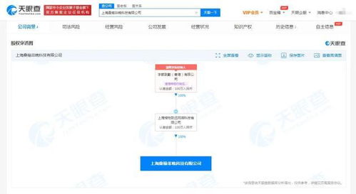 上海軟件代理與開發 企業數字化轉型的雙引擎